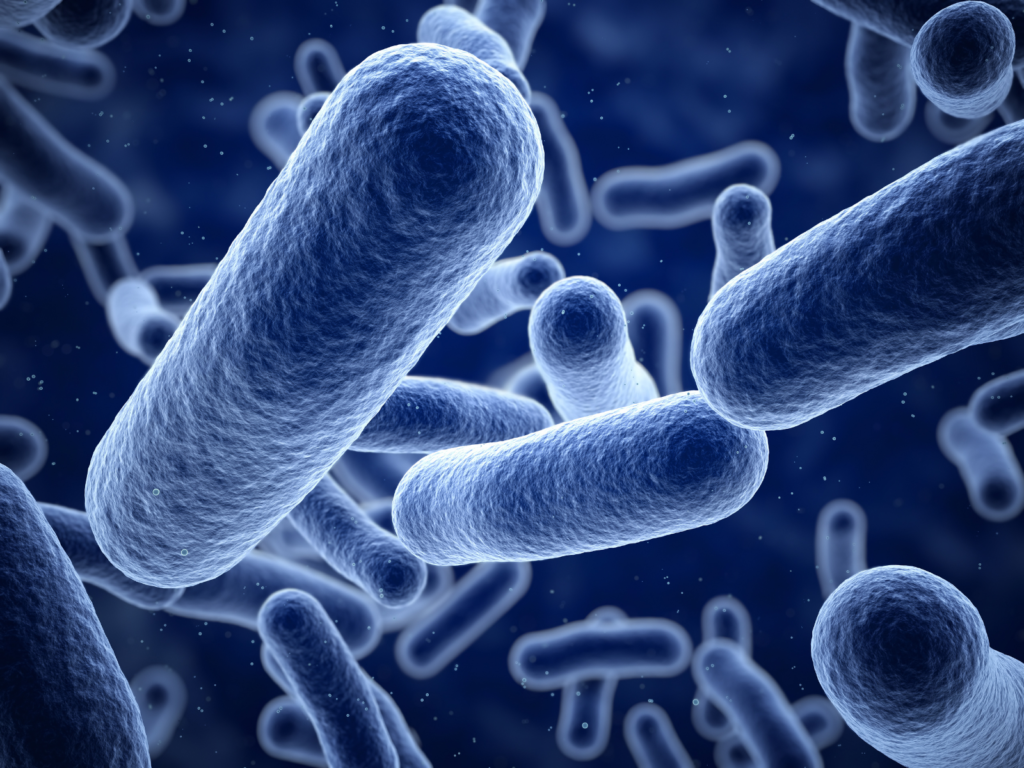 Legionella Risk Assessments | H2O Comply | tvc water testing | can you taste bacteria in water