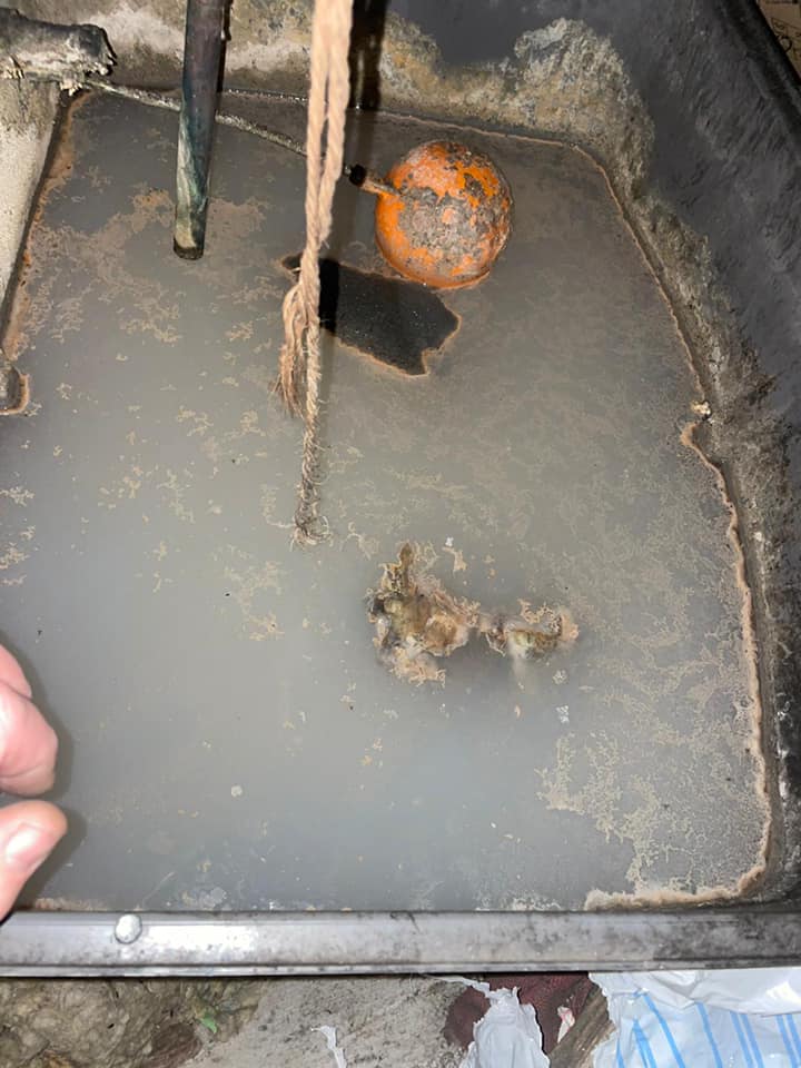 water tank damage - animal in water tank | water system